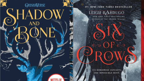 Shadow and Bone review: The books that launched the Netflix show